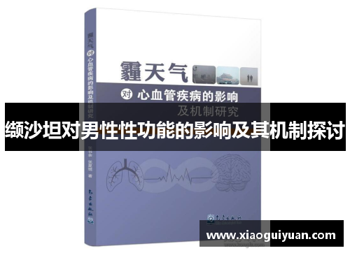 缬沙坦对男性性功能的影响及其机制探讨